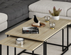 Levada 3-Pieces Coffee Table - Bona