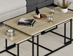 Levada 3-Pieces Coffee Table - Bona