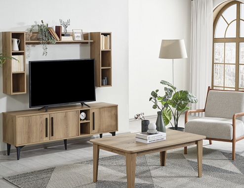 PETRA TV UNIT