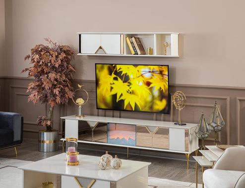 KONTES TV UNIT