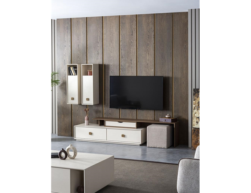 ORJIN TV UNIT